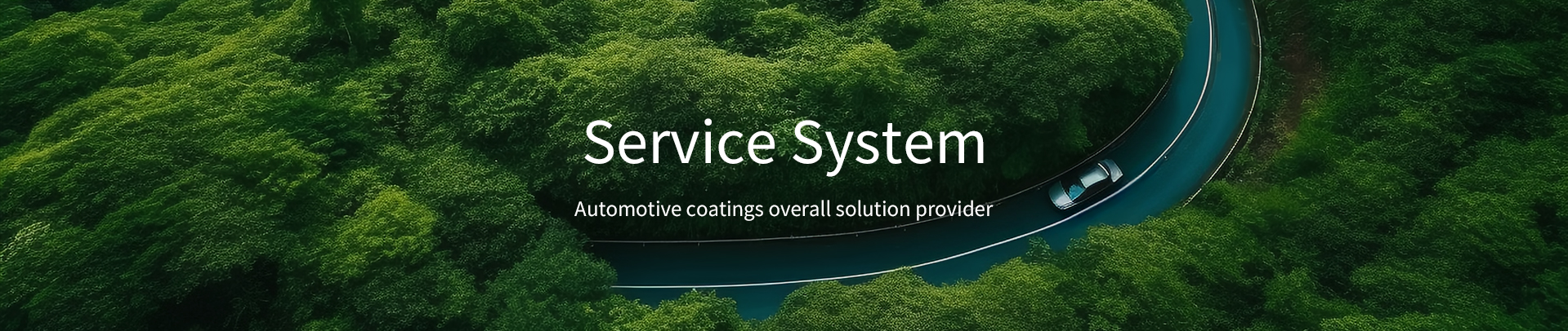 Service system