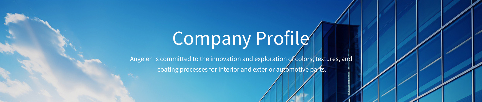 Company Profile